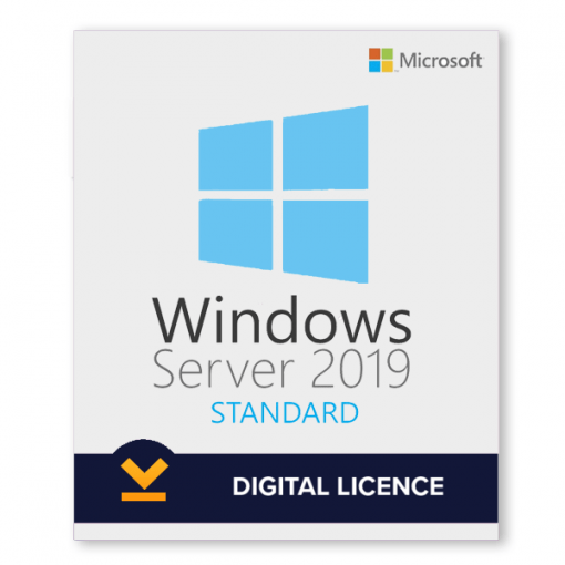 Windows Server 2019 Standard License